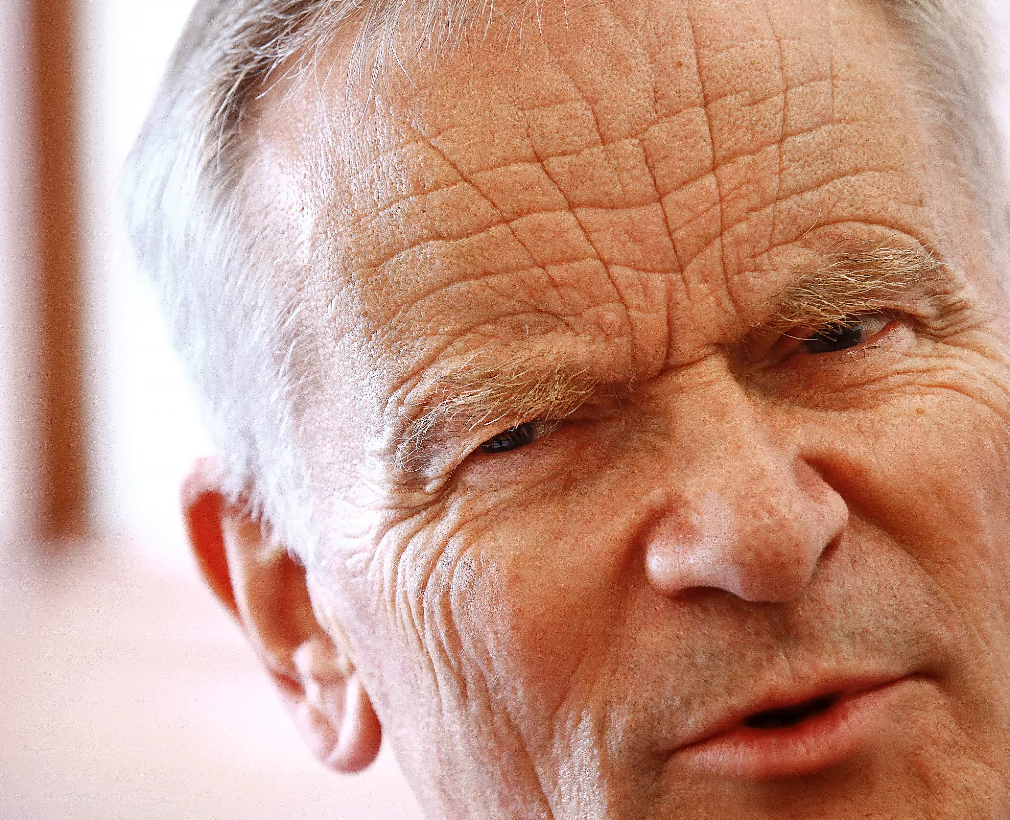 Jeffrey Archer Died Yesterday
